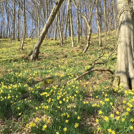 Venngasthof Zur Buche Monschau Exteriör bild